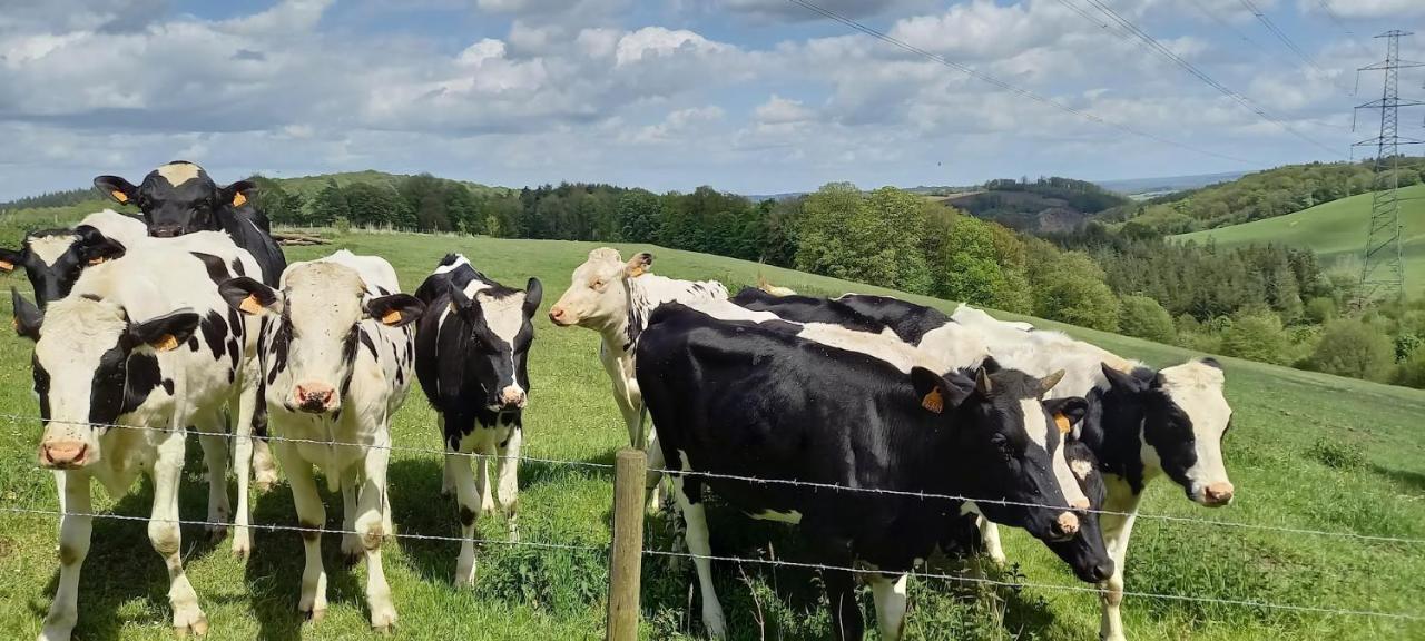 La Faironniere Villa Hamoir Bagian luar foto